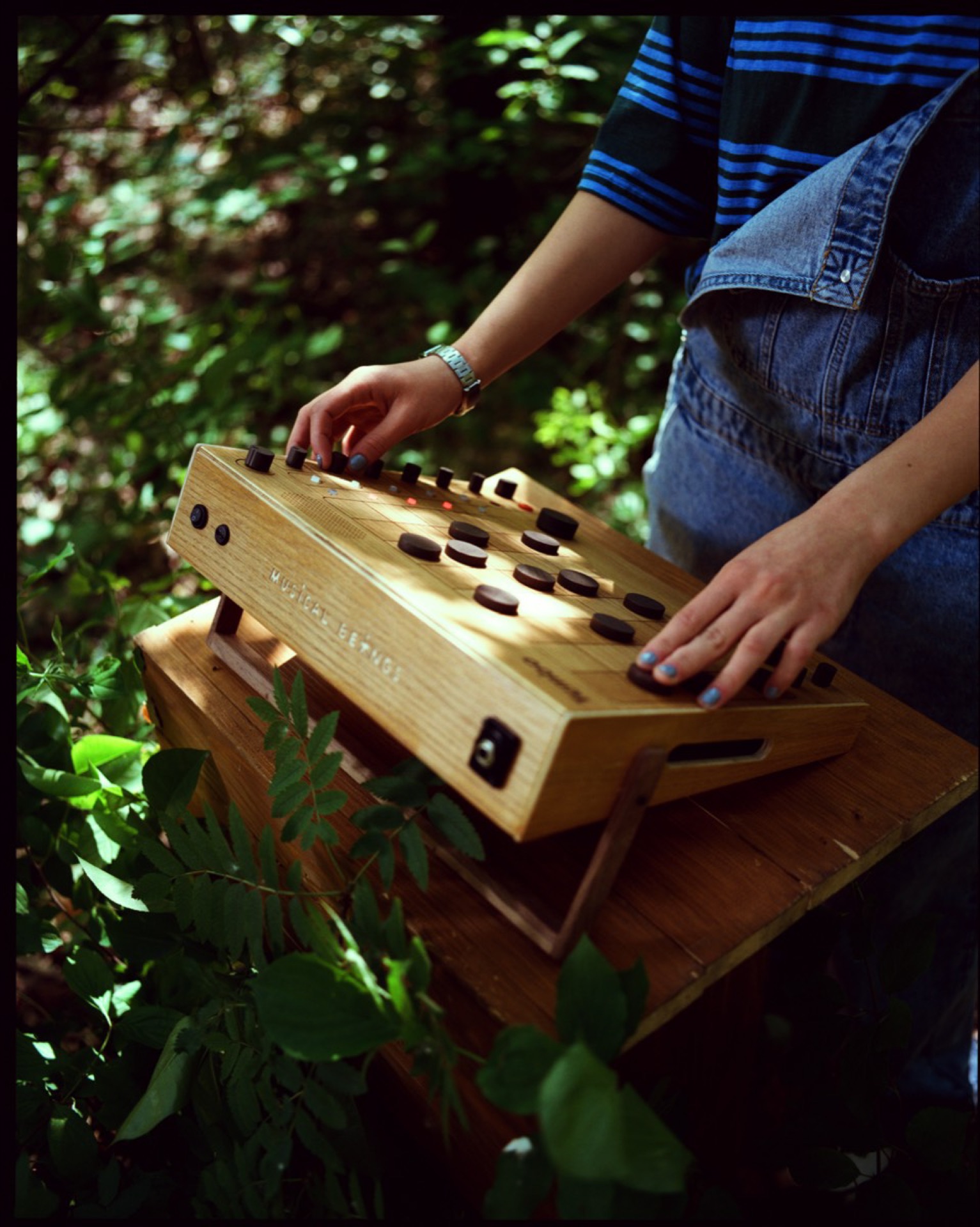 Tembo by Alon Daniel 5